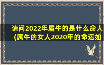 请问2022年属牛的是什么