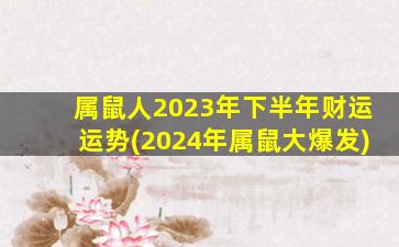 属鼠人2023年下半年财运运势(2024年属鼠大爆发)