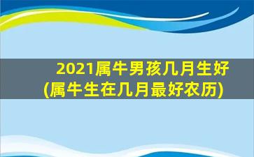 2021属牛男孩几月生好(属牛