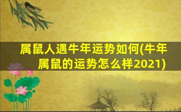 属鼠人遇牛年运势如何(牛年属鼠的运势怎么样2021)