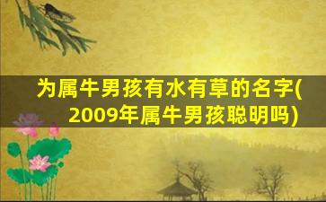 为属牛男孩有水有草的名字(2009年属牛男孩聪明吗)