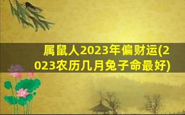 属鼠人2023年偏财运(2023农历几月兔子命最好)