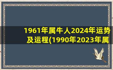 1961年属牛人2024年运势及运程(1990年2023年属马人的全年运势女)