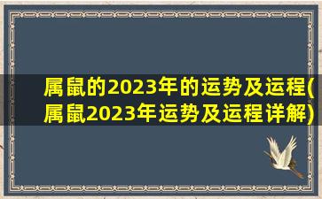 属鼠的2023年的运势及运程(属鼠2023年运势及运程详解)