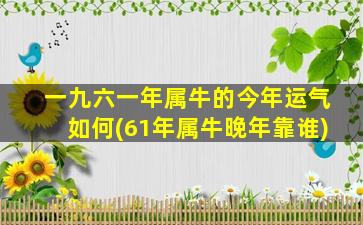 一九六一年属牛的今年运气如何(61年属牛晚年靠谁)