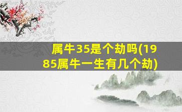 属牛35是个劫吗(1985属牛一