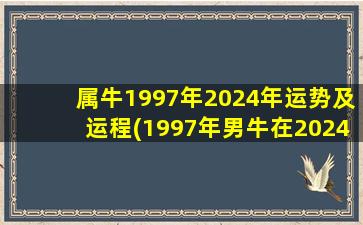 属牛1997年2024年运势及运程