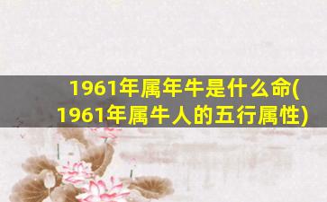 1961年属年牛是什么命(1961年属牛人的五行属性)