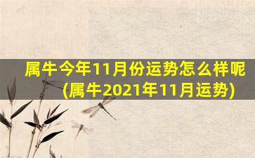 属牛今年11月份运势怎么样呢(属牛2021年11月运势)