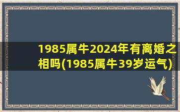 1985属牛2024年有离婚之相吗