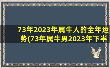 73年2023年属牛人的全年运