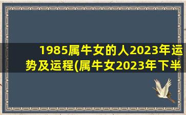 1985属牛女的人2023年运势