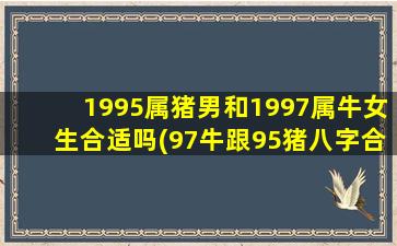 1995属猪男和1997属牛女生合