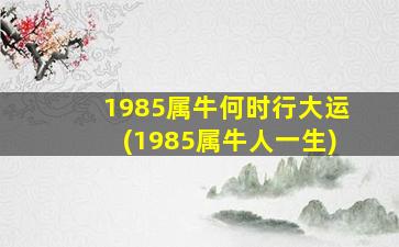 1985属牛何时行大运(1985属