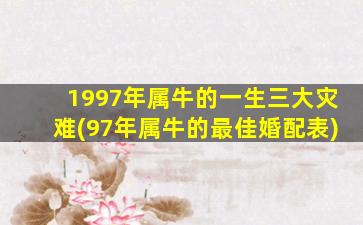 1997年属牛的一生三大灾难(97年属牛的最佳婚配表)