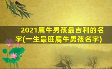 2021属牛男孩最吉利的名字