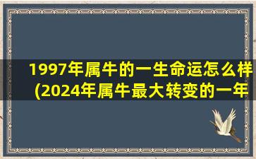 <strong>1997年属牛的一生命运怎么</strong>