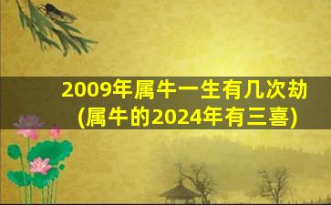 2009年属牛一生有几次劫(属牛的2024年有三喜)