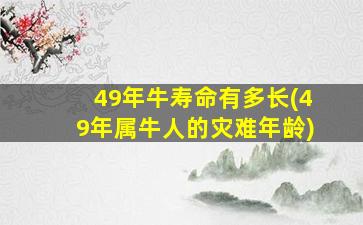 49年牛寿命有多长(49年属