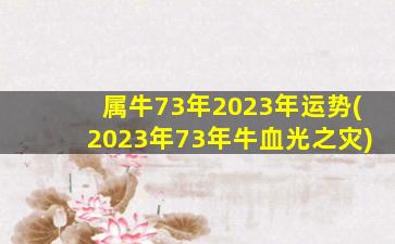 属牛73年2023年运势(2023年73年牛血光之灾)