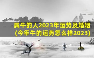 属牛的人2023年运势及婚姻