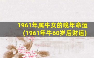 1961年属牛女的晚年命运(1961年牛60岁后财运)