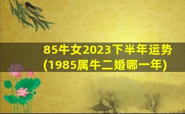 85牛女2023下半年运势(1985属牛二婚哪一年)