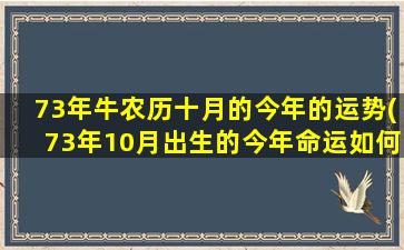 73年牛农历十月的今年的运势(73年10月出生的今年命运如何)