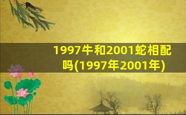 1997牛和2001蛇相配吗(1997年