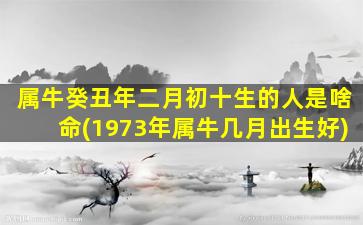 属牛癸丑年二月初十生的人是啥命(1973年属牛几月出生好)