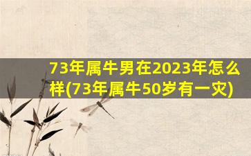 73年属牛男在2023年怎么样(73年属牛50岁有一灾)