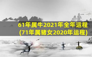 61年属牛2021年全年运程(71年属猪女2020年运程)