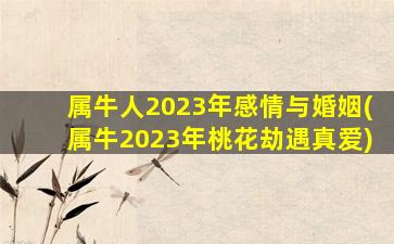 属牛人2023年感情与婚姻