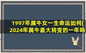 1997年属牛女一生命运如