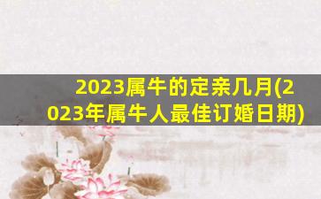 2023属牛的定亲几月(2023年属牛人最佳订婚日期)