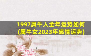 1997属牛人全年运势如何