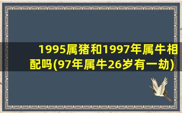 1995属猪和1997年属牛相配吗