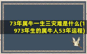 73年属牛一生三灾难是什么(1973年生的属牛人53年运程)