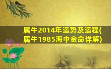 属牛2014年运势及运程(属牛1985海中金命详解)