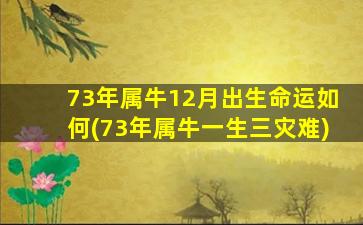 73年属牛12月出生命运如何(73年属牛一生三灾难)