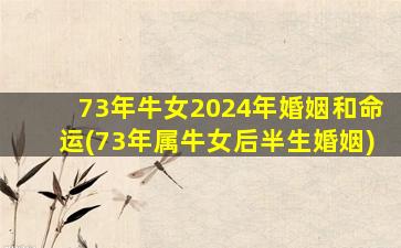 73年牛女2024年婚姻和命运(73年属牛女后半生婚姻)