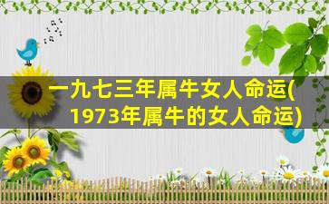 一九七三年属牛女人命运(1973年属牛的女人命运)