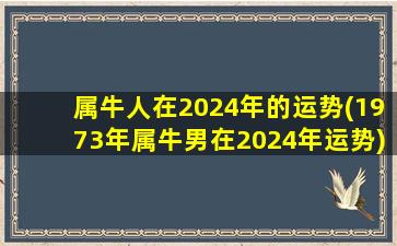 属牛人在2024年的运势(