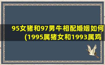 95女猪和97男牛相配婚姻如