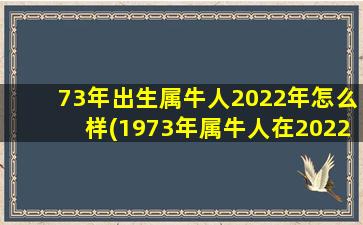 73年出生属牛人2022年怎么样(1973年属牛人在2022年的命运)