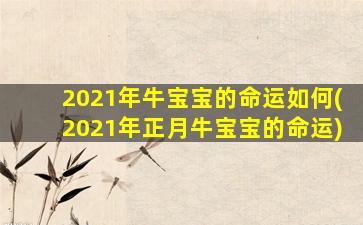 2021年牛宝宝的命运如何(2021年正月牛宝宝的命运)