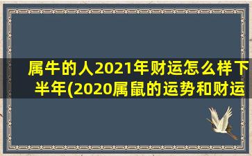 属牛的人2021年财运怎么