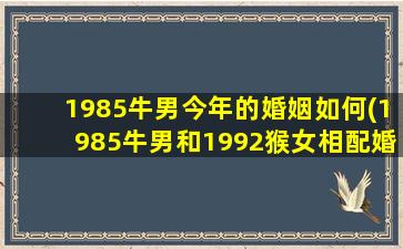 1985牛男今年的婚姻如何(1985牛男和1992猴女相配婚姻如何)