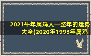 2021牛年属鸡人一整年的运