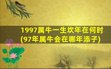 1997属牛一生坎年在何时(97年属牛会在哪年添子)